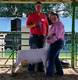 Wedel Winners