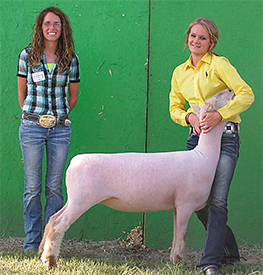 Wedel Winners