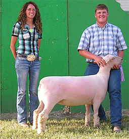 Wedel Winners