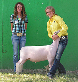 Wedel Winners