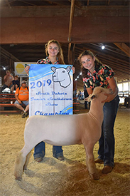 Wedel Winners