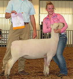 Wedel Winners