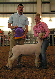 Wedel Winners