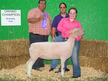 Wedel Winners