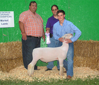 Wedel Winners