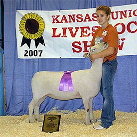 Wedel Winners