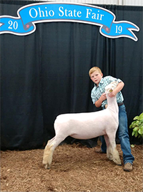 Wedel Winners